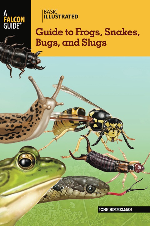 Cover image for book Basic Illustrated Guide to Frogs, Snakes, Bugs, and Slugs