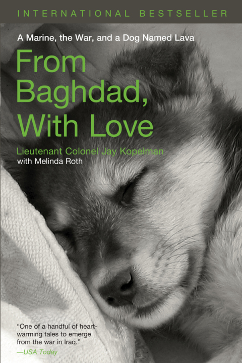 Cover image for book From Baghdad with Love