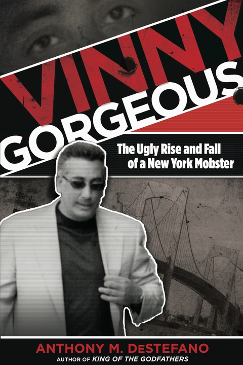 Cover image for book Vinny Gorgeous
