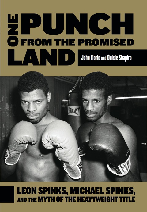 Cover image for book One Punch from the Promised Land