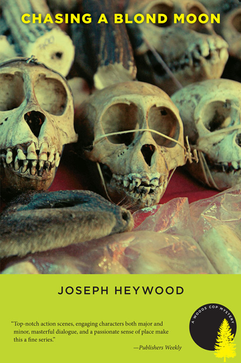 Cover image for book Chasing a Blond Moon