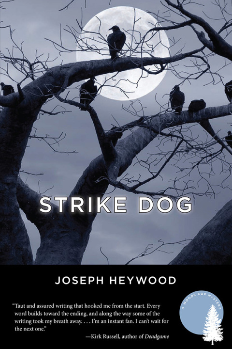 Cover image for book Strike Dog