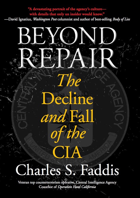 Cover image for book Beyond Repair