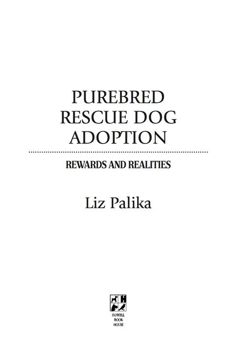 Cover image for book Purebred Rescue Dog Adoption