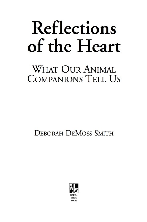 Cover image for book Reflections of the Heart