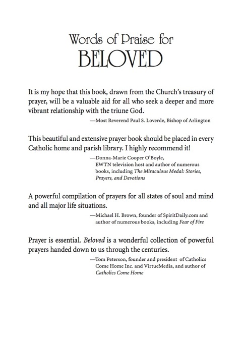 Cover image for book Beloved