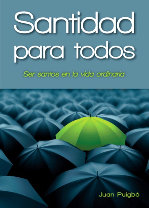 Cover image for book Santidad para todos : Para ser santos en la vida ordinaria