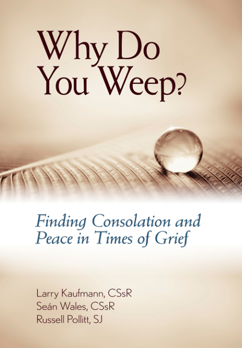 Cover image for book Why Do You Weep?