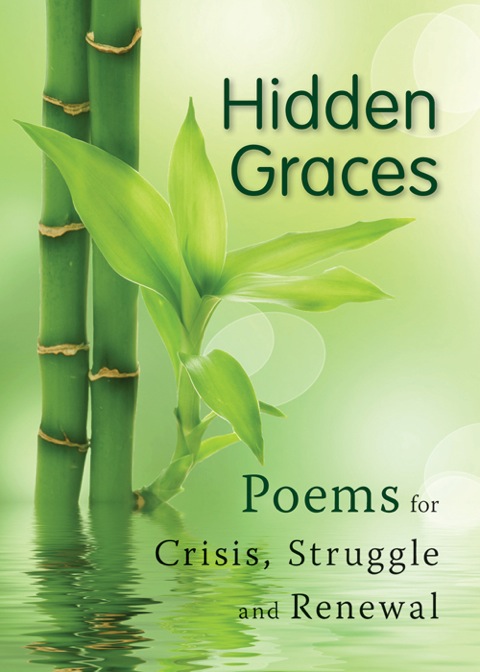 Cover image for book Hidden Graces
