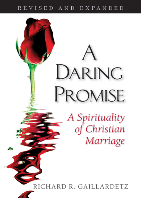 Cover image for book A Daring Promise