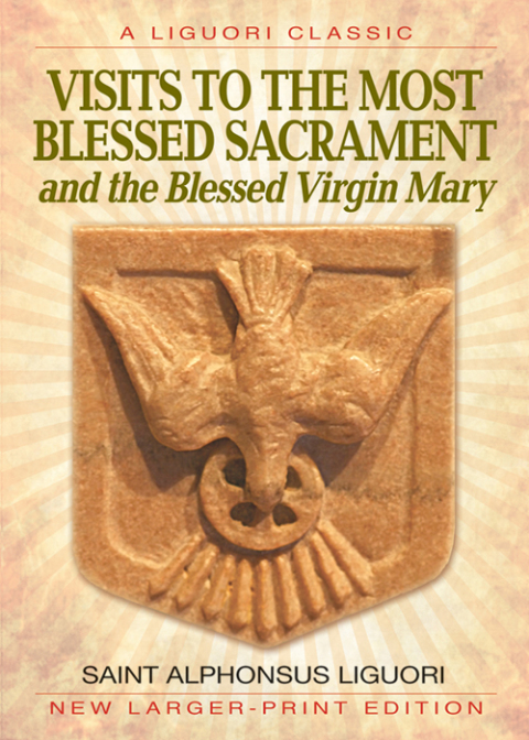 Cover image for book Visits to the Most Blessed Sacrament and the Blessed Virgin Mary