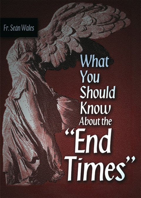 Cover image for book What You Should Know About the "End Times"
