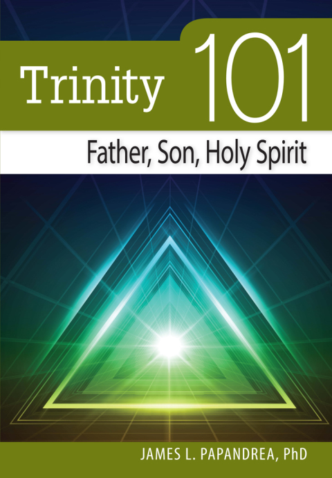 Cover image for book Trinity 101