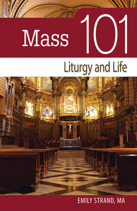 Cover image for book Mass 101