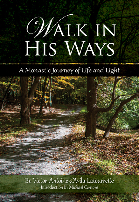 Cover image for book Walk in His Ways