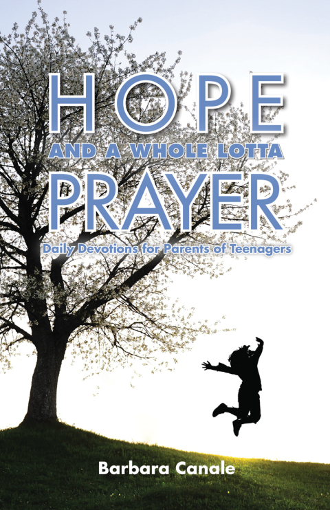 Cover image for book Hope and a Whole Lotta Prayer