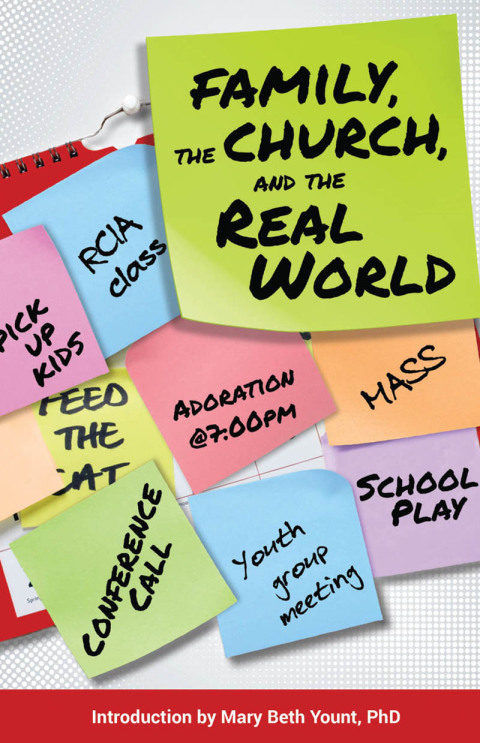 Cover image for book Family, the Church, and the Real World