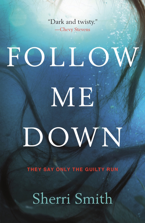 Cover image for book Follow Me Down