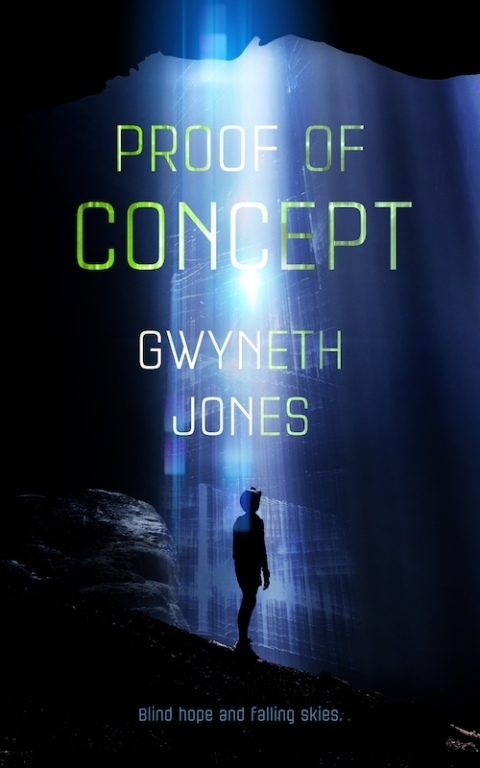 Cover image for book Proof of Concept