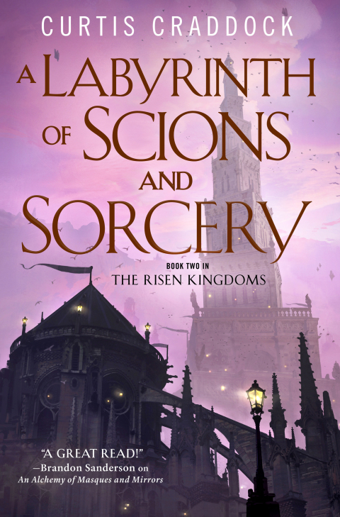 Cover image for book A Labyrinth of Scions and Sorcery