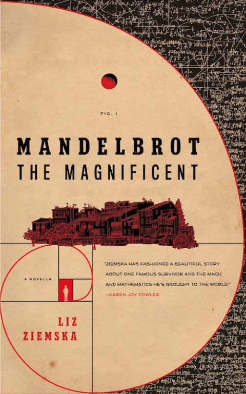 Cover image for book Mandelbrot the Magnificent