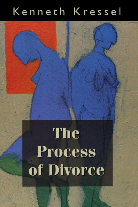 Cover image for book The Process of Divorce
