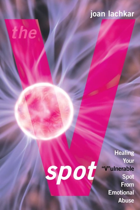Cover image for book The V-Spot