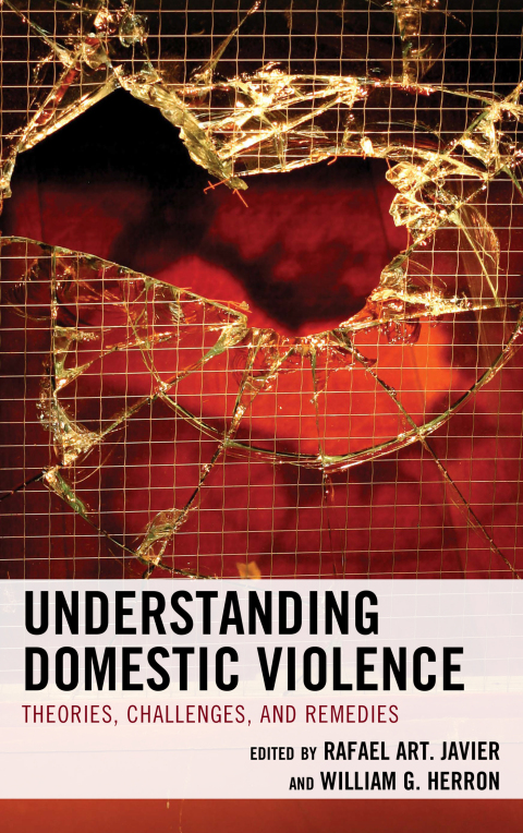 Cover image for book Understanding Domestic Violence