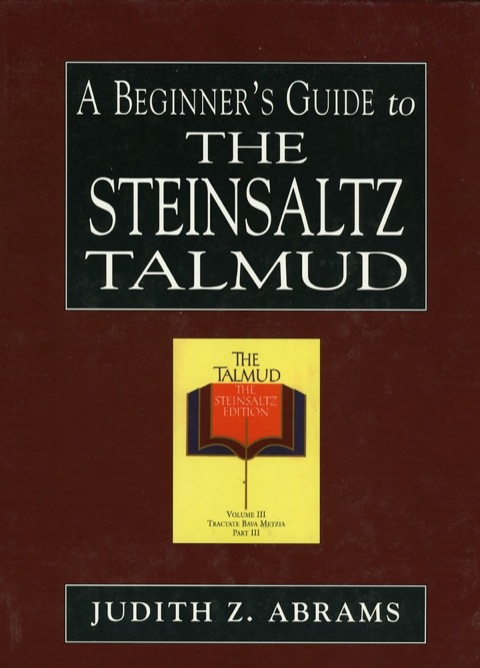 Cover image for book A Beginner's Guide to the Steinsaltz Talmud