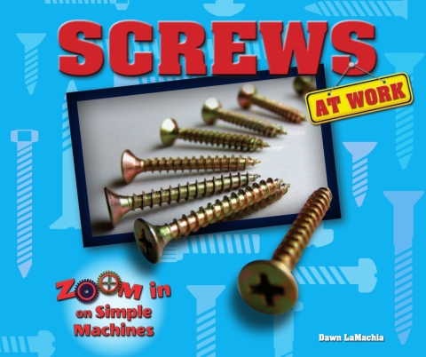 Cover image for book Screws at Work