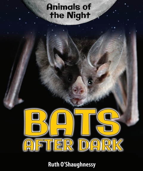 Cover image for book Bats After Dark