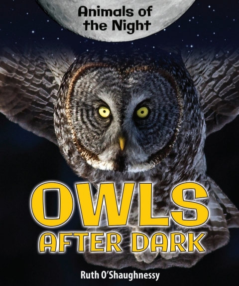 Cover image for book Owls After Dark