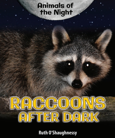 Cover image for book Raccoons After Dark