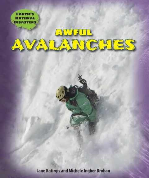 Cover image for book Awful Avalanches