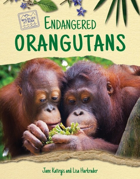Cover image for book Endangered Orangutans