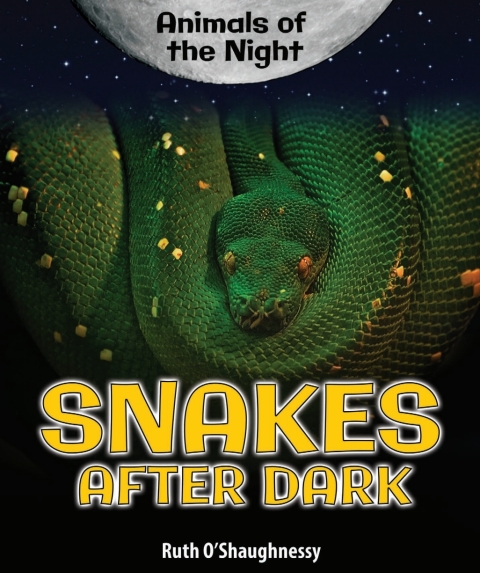 Cover image for book Snakes After Dark