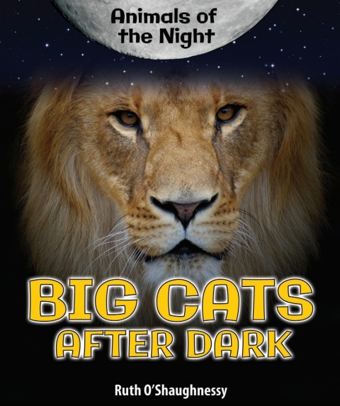 Cover image for book Big Cats After Dark