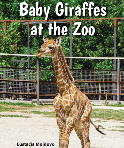 Cover image for book Baby Giraffes at the Zoo
