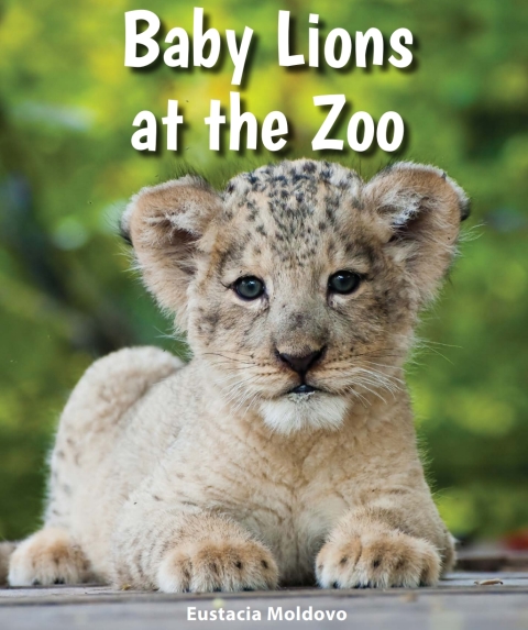 Cover image for book Baby Lions at the Zoo