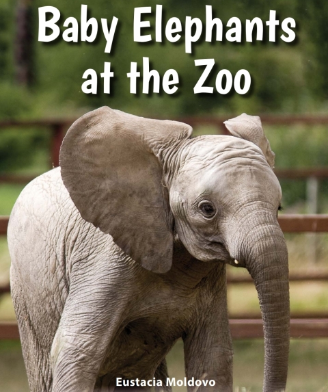 Cover image for book Baby Elephants at the Zoo