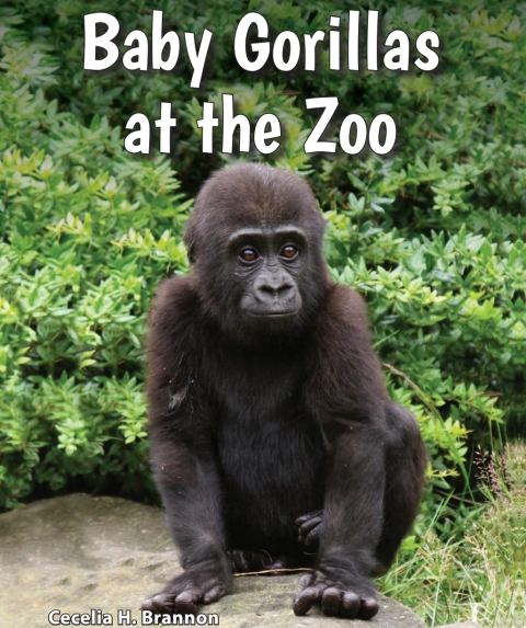 Cover image for book Baby Gorillas at the Zoo
