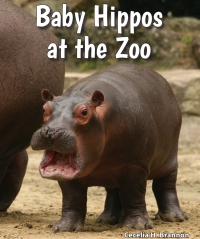 صورة الغلاف: Baby Hippos at the Zoo