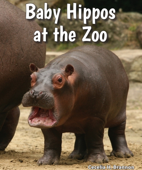Cover image for book Baby Hippos at the Zoo