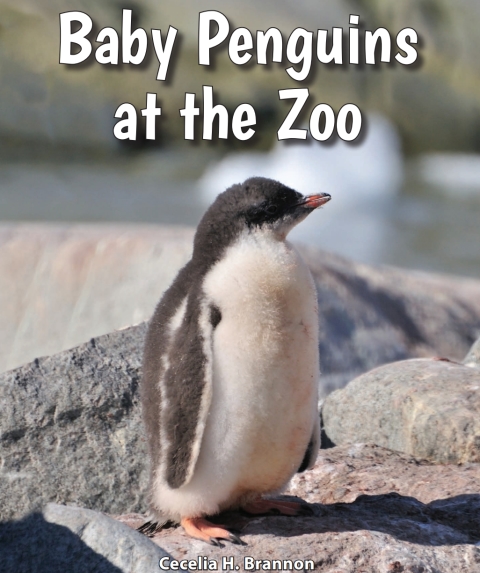 Cover image for book Baby Penguins at the Zoo