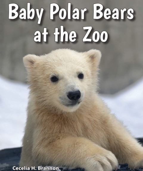 Cover image for book Baby Polar Bears at the Zoo