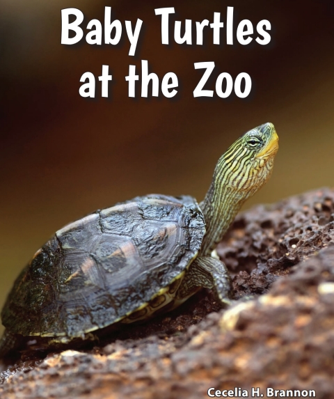Cover image for book Baby Turtles at the Zoo