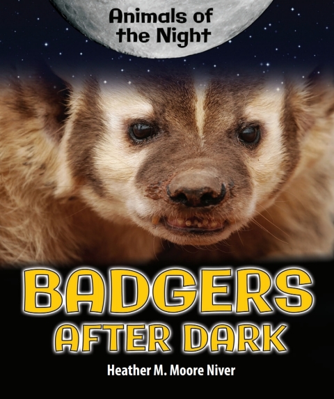 Cover image for book Badgers After Dark