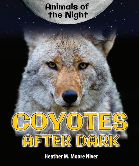 Cover image for book Coyotes After Dark