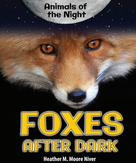 Cover image for book Foxes After Dark