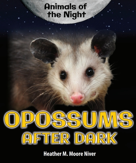 Cover image for book Opossums After Dark